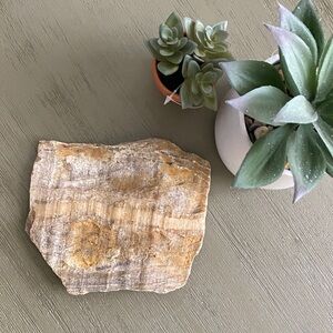 Natural Striped Stone Accent Slab in Tan and Cream - Unbranded